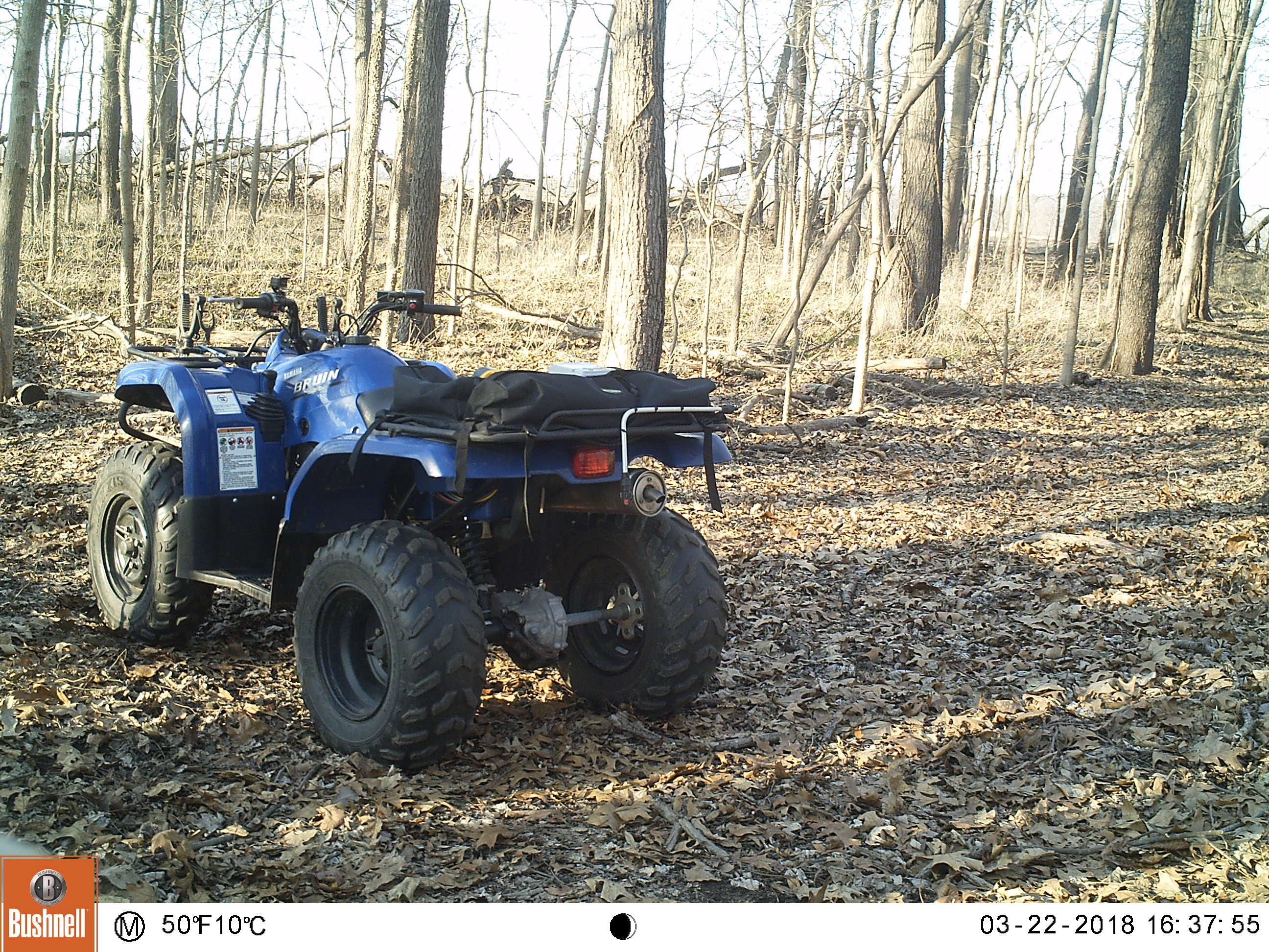 2004 Yamaha 350 Bruin.JPG