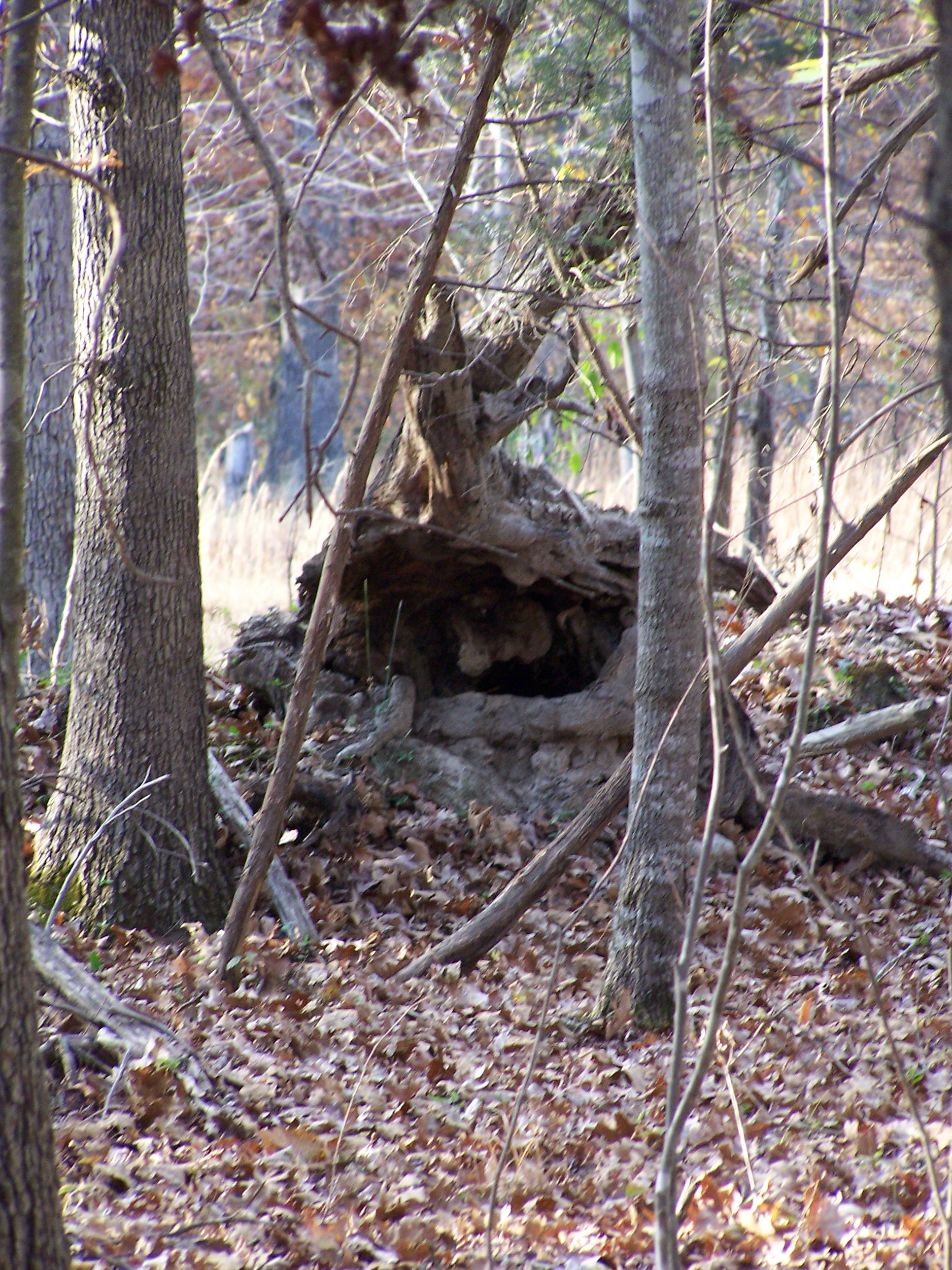 fall 2005 07.JPG