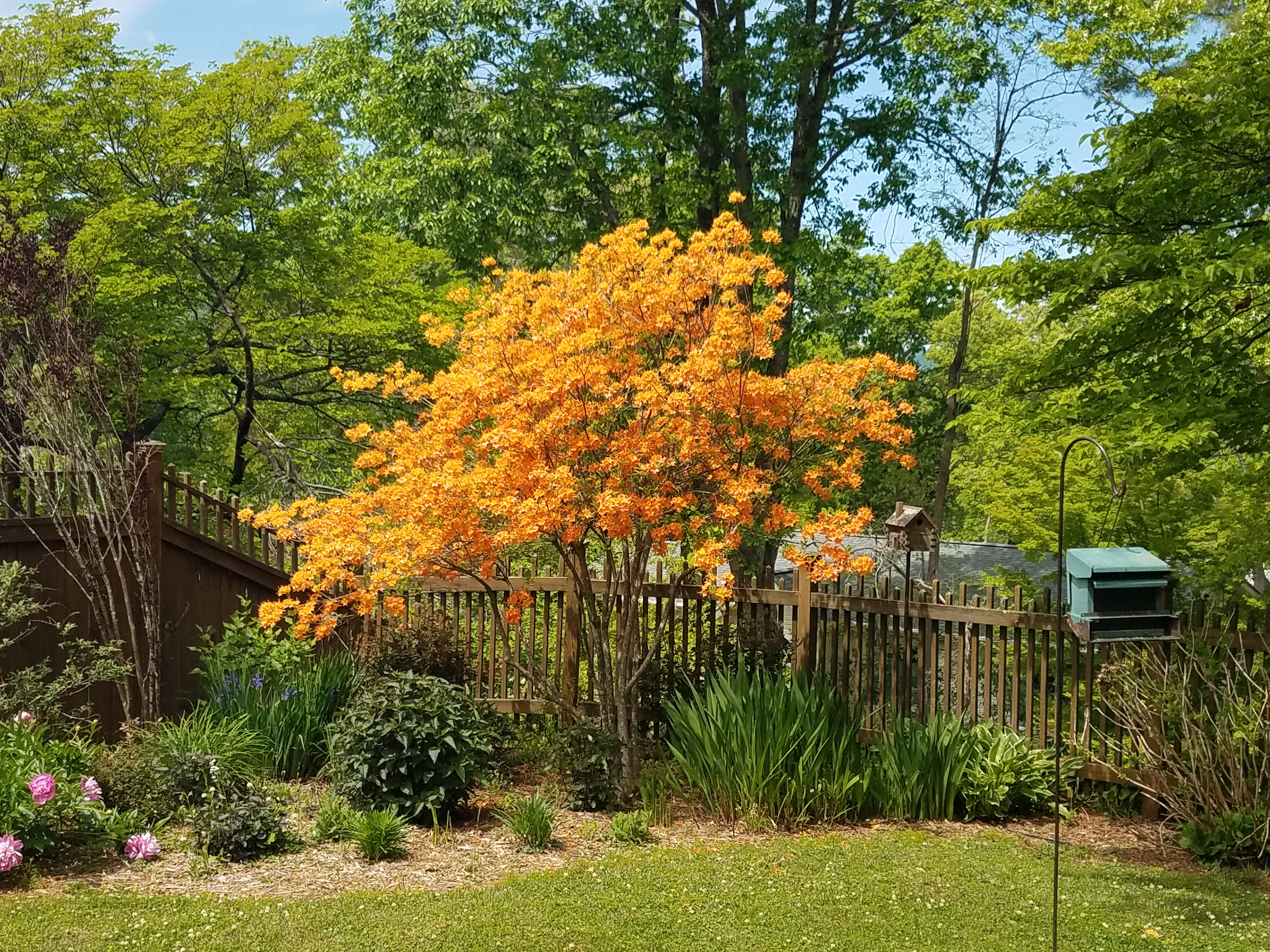 20260430_142411.jpg