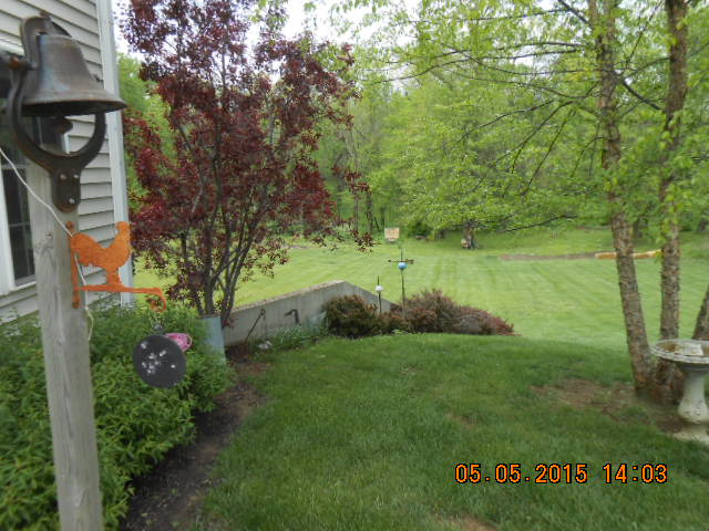 DSCN0793.JPG