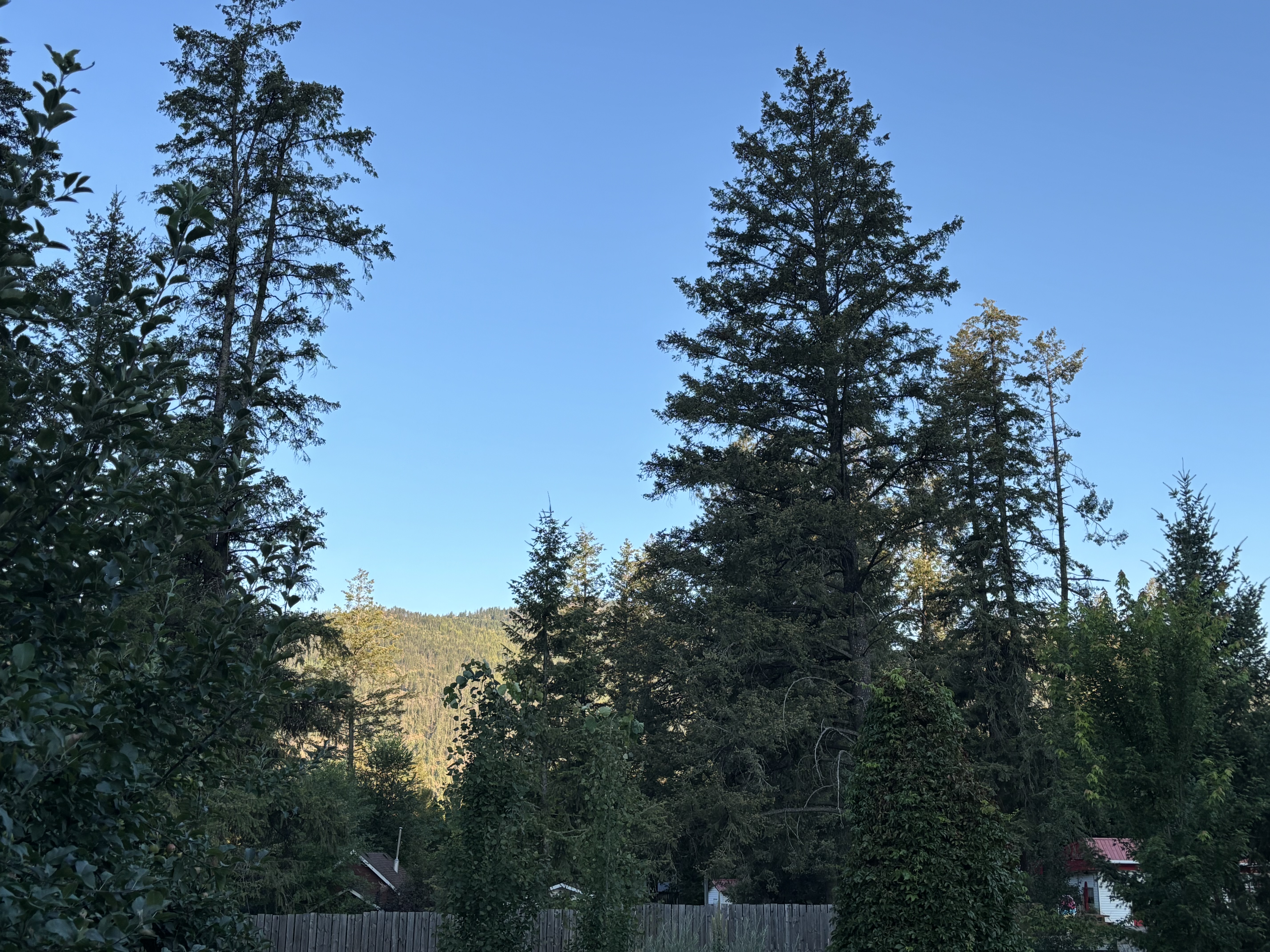 IMG_6717.jpeg