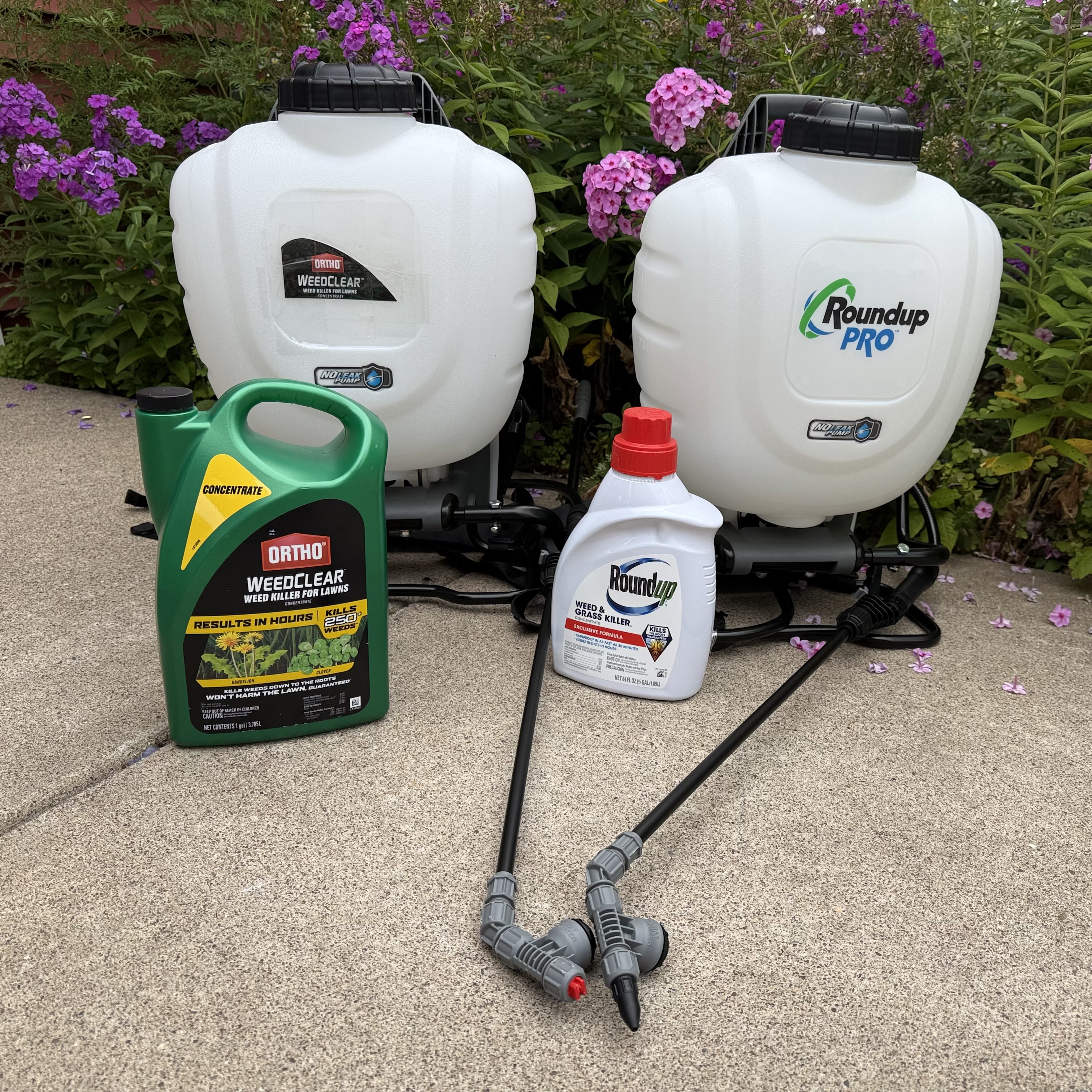 IMG_0222.jpeg