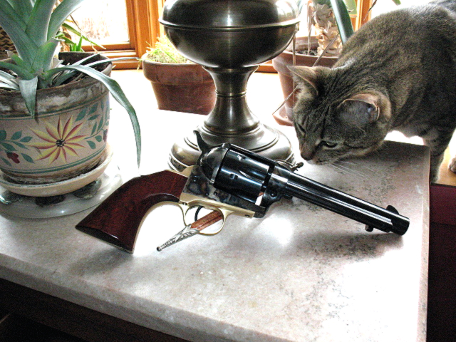 Cat and Cattleman.jpg