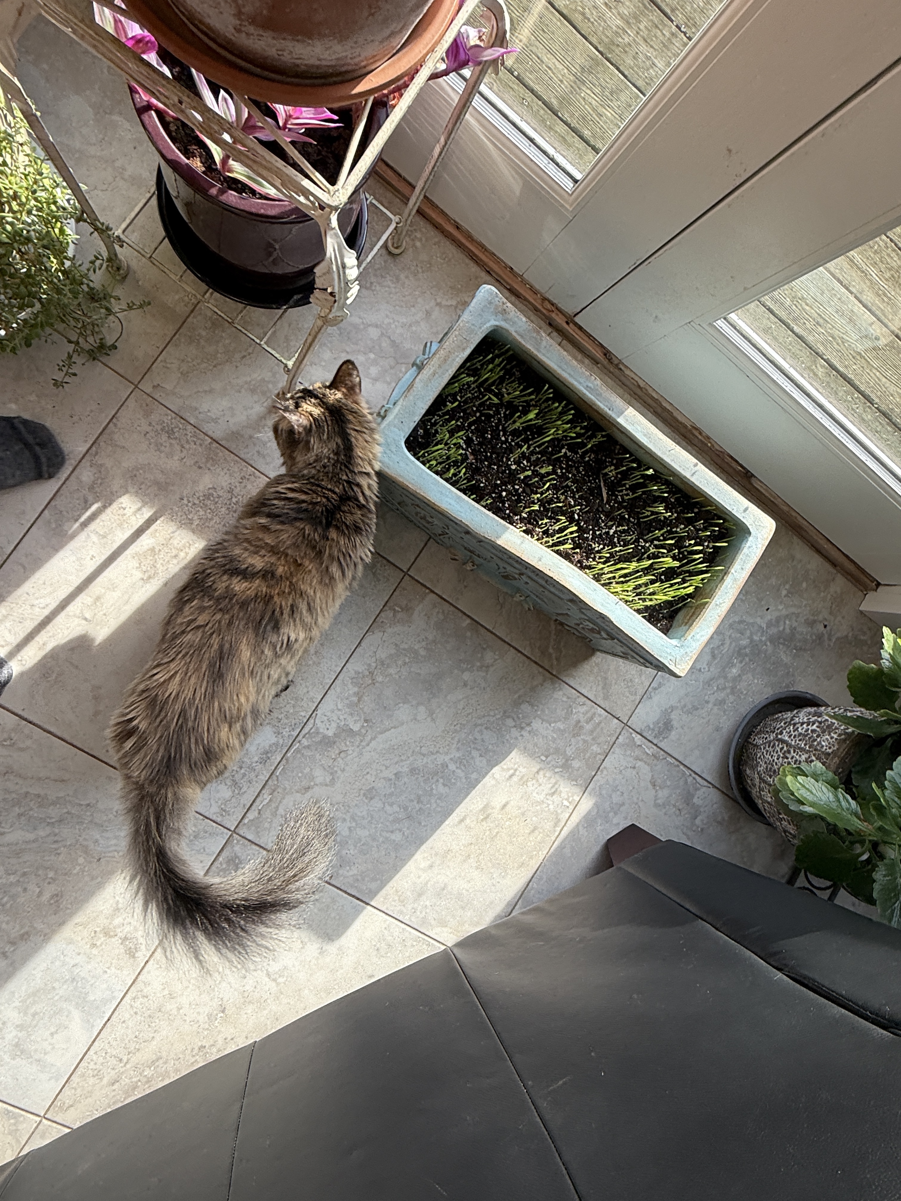 IMG_0476.jpeg