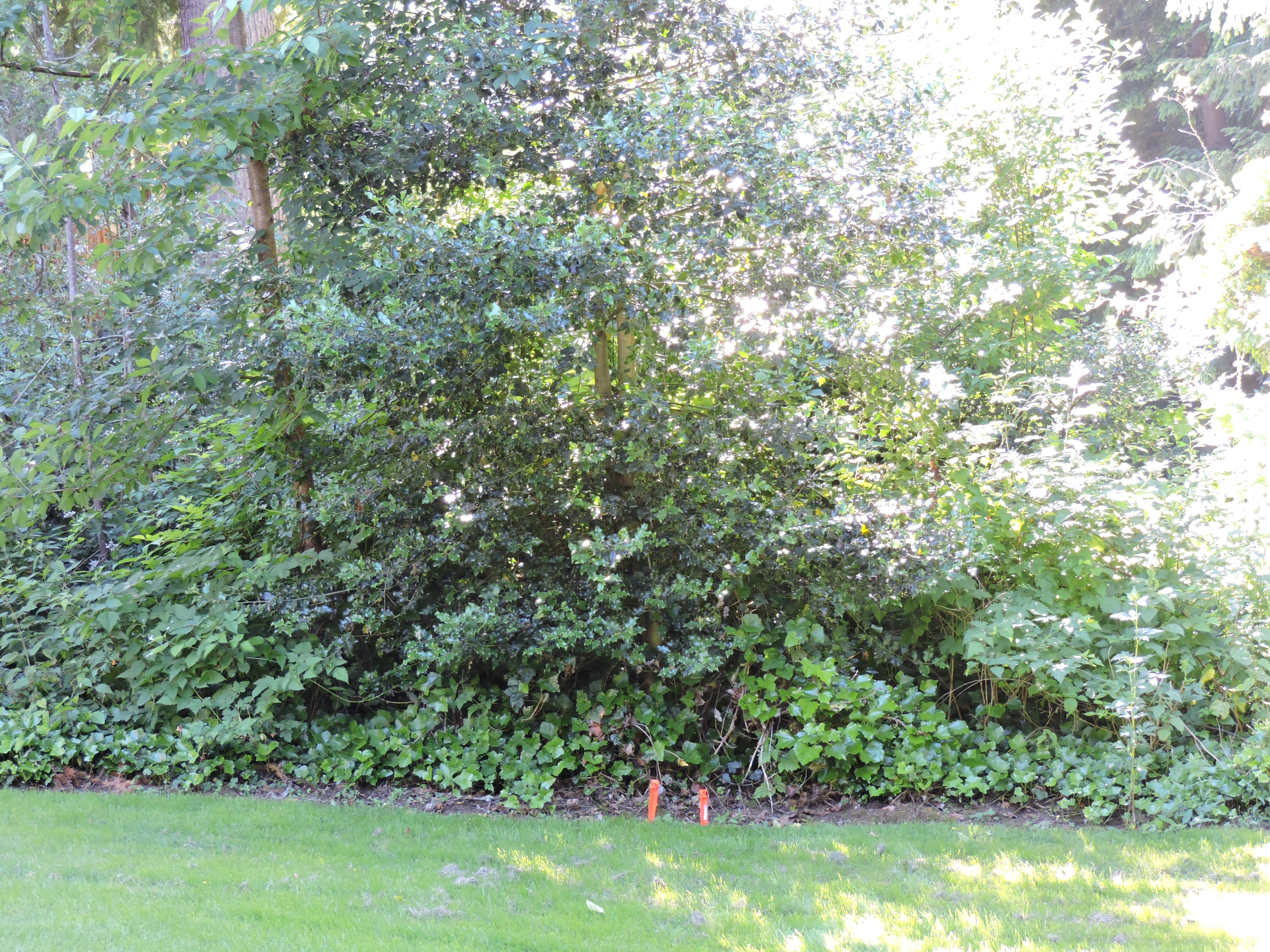 DSCN2412.JPG