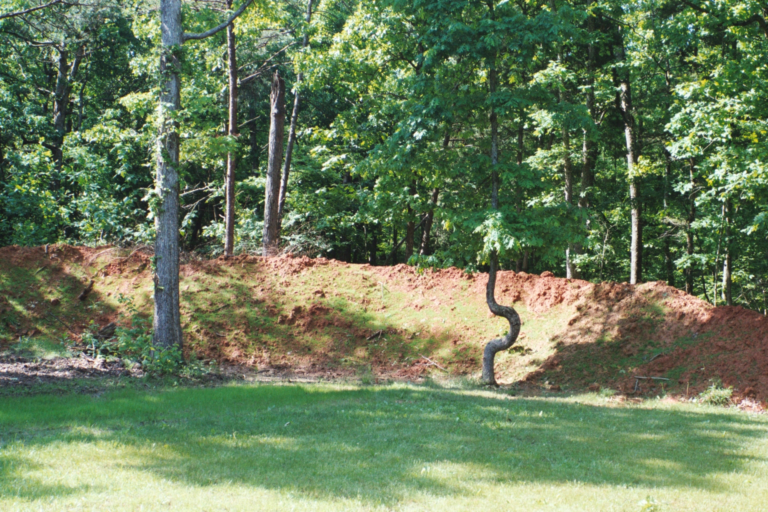 range from 20 yards.jpg