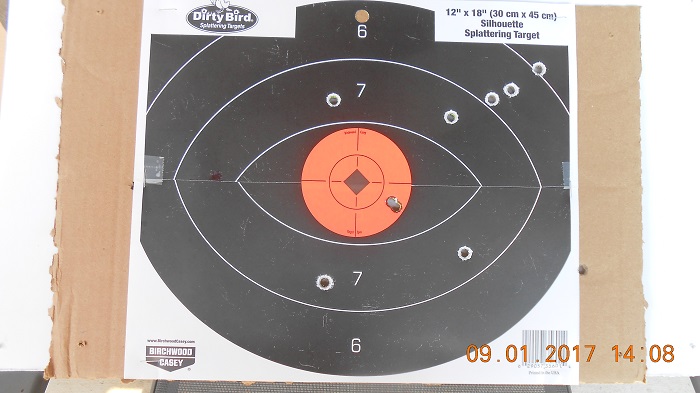 .357 BB Steel Carbine off hand 50 yards.jpg