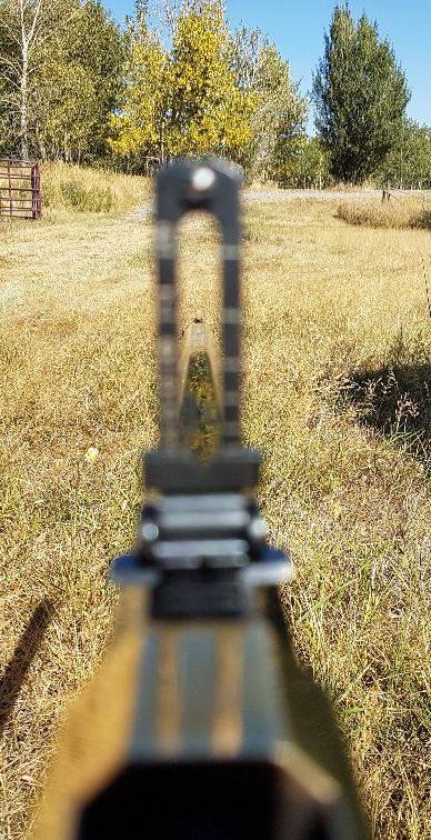The 1860 ladder sight, set for 100 yds