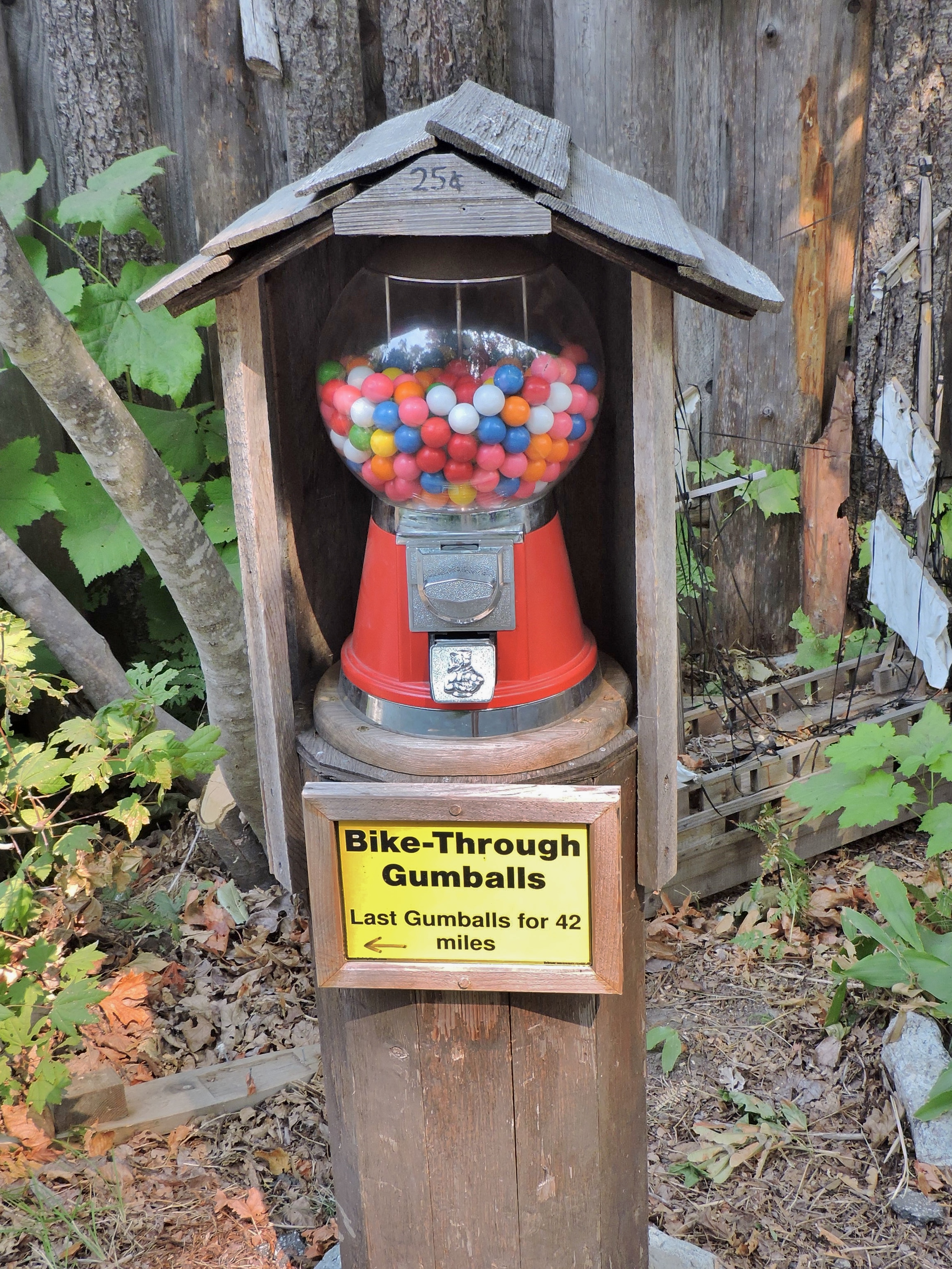DSCN5059.JPG