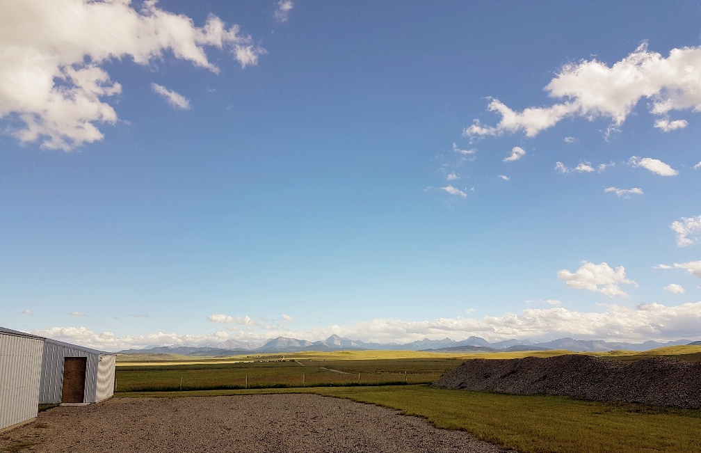 20170618_193223_resized (2017_06_19 02_37_28 UTC).jpg