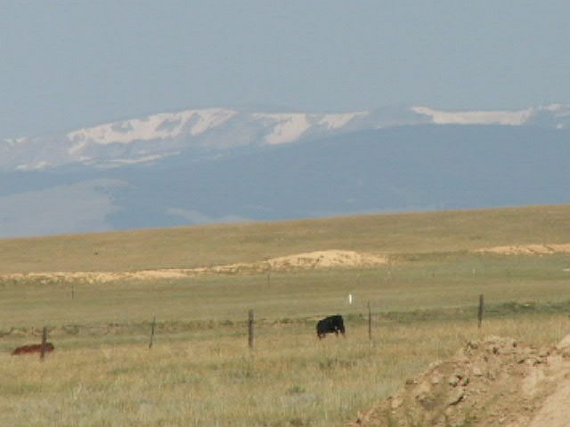 image_2521.jpg