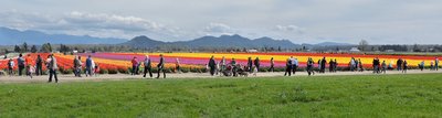 DSCN3592.JPG