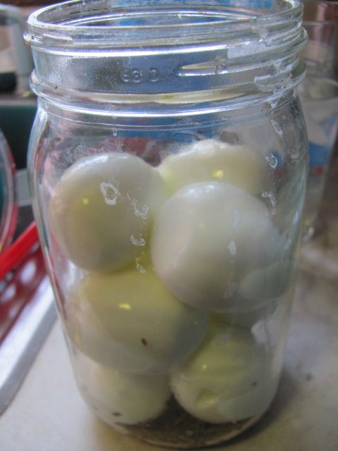 180104 005 in jar 001.jpg