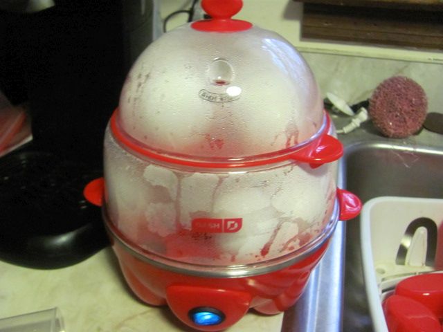 180104 002 egg steamer 001.jpg
