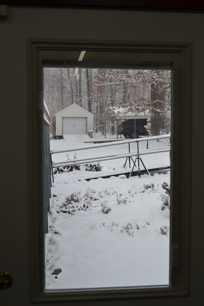 01 view out the shop window.jpg