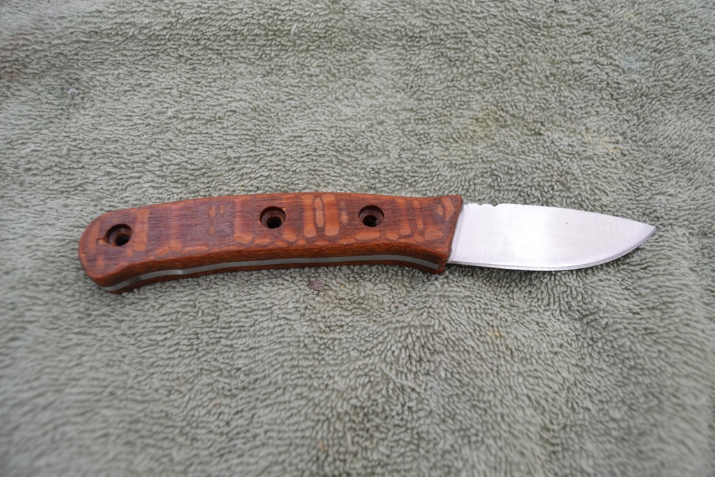 05 skinner done.jpg