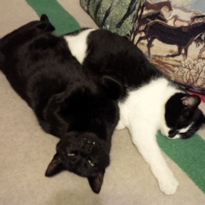 Inky on left, Pickles on right