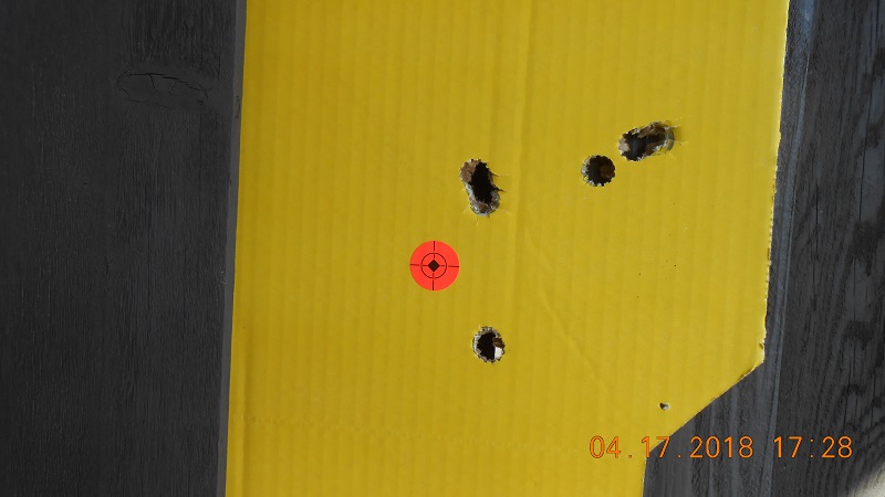 Stevens 20ga_D_50yds_DSCN2421.jpg