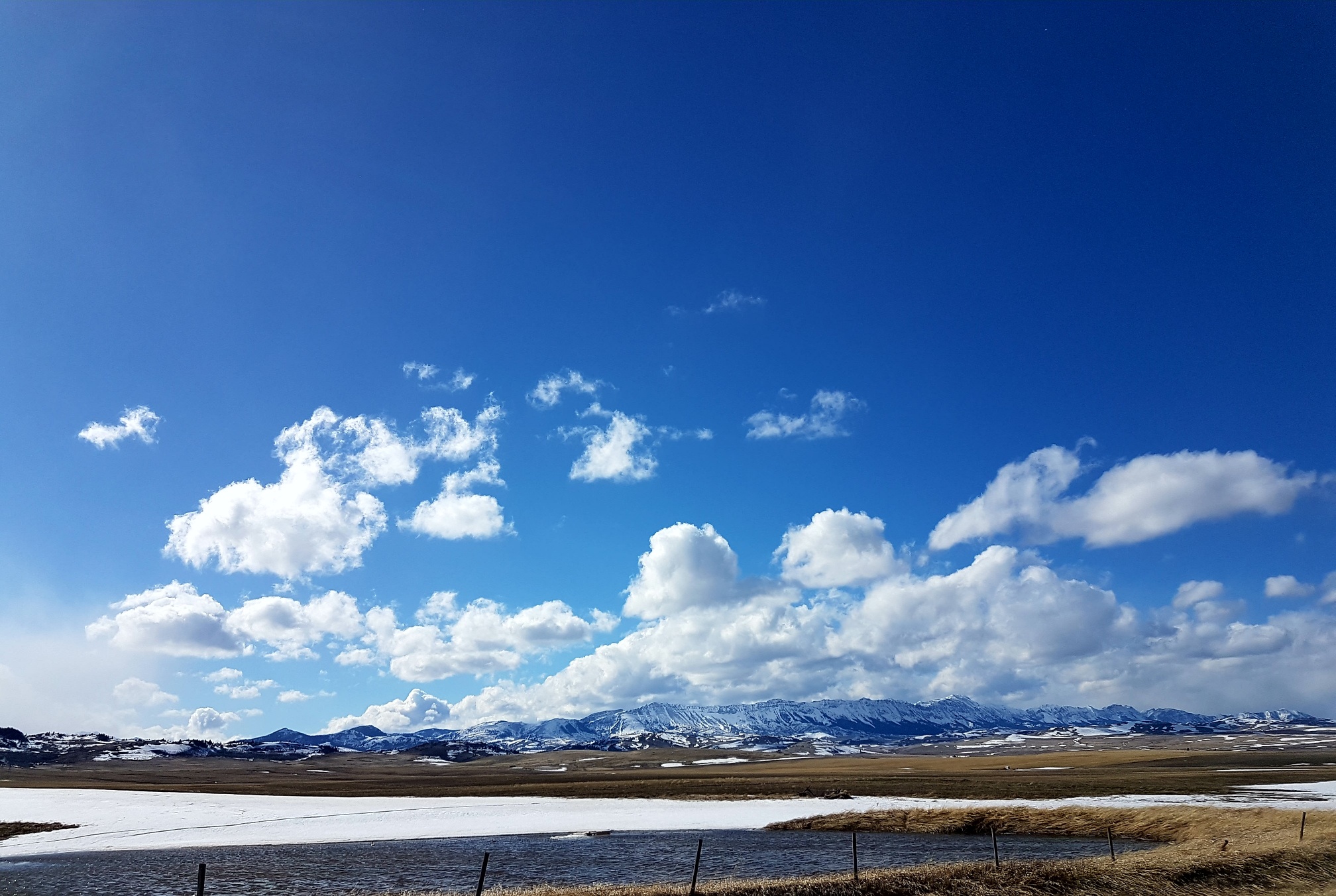 20180421_190012_resized.jpg